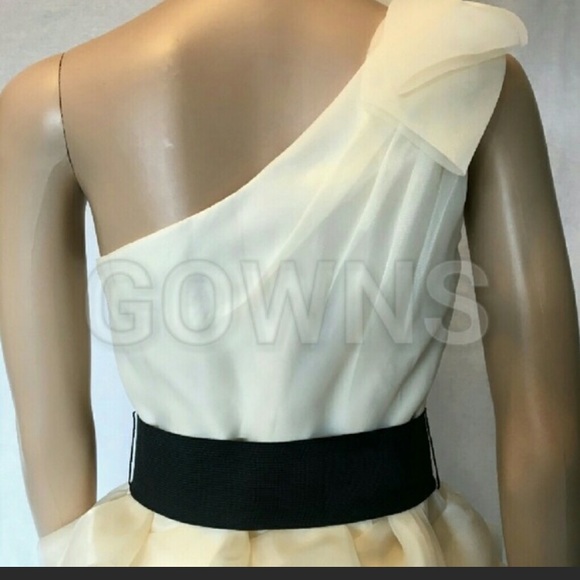 Cocktail Dress - Picture 4 of 4